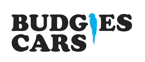 Budgie's Cars
